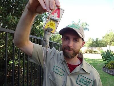Ocala pest control